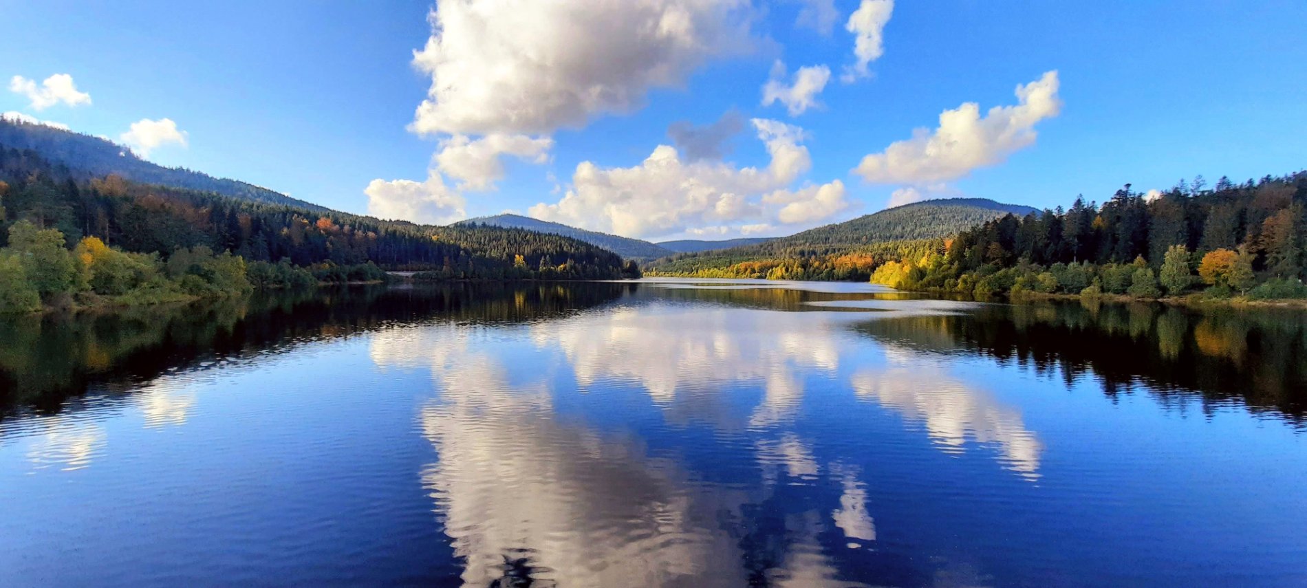 Germany's Black Forest